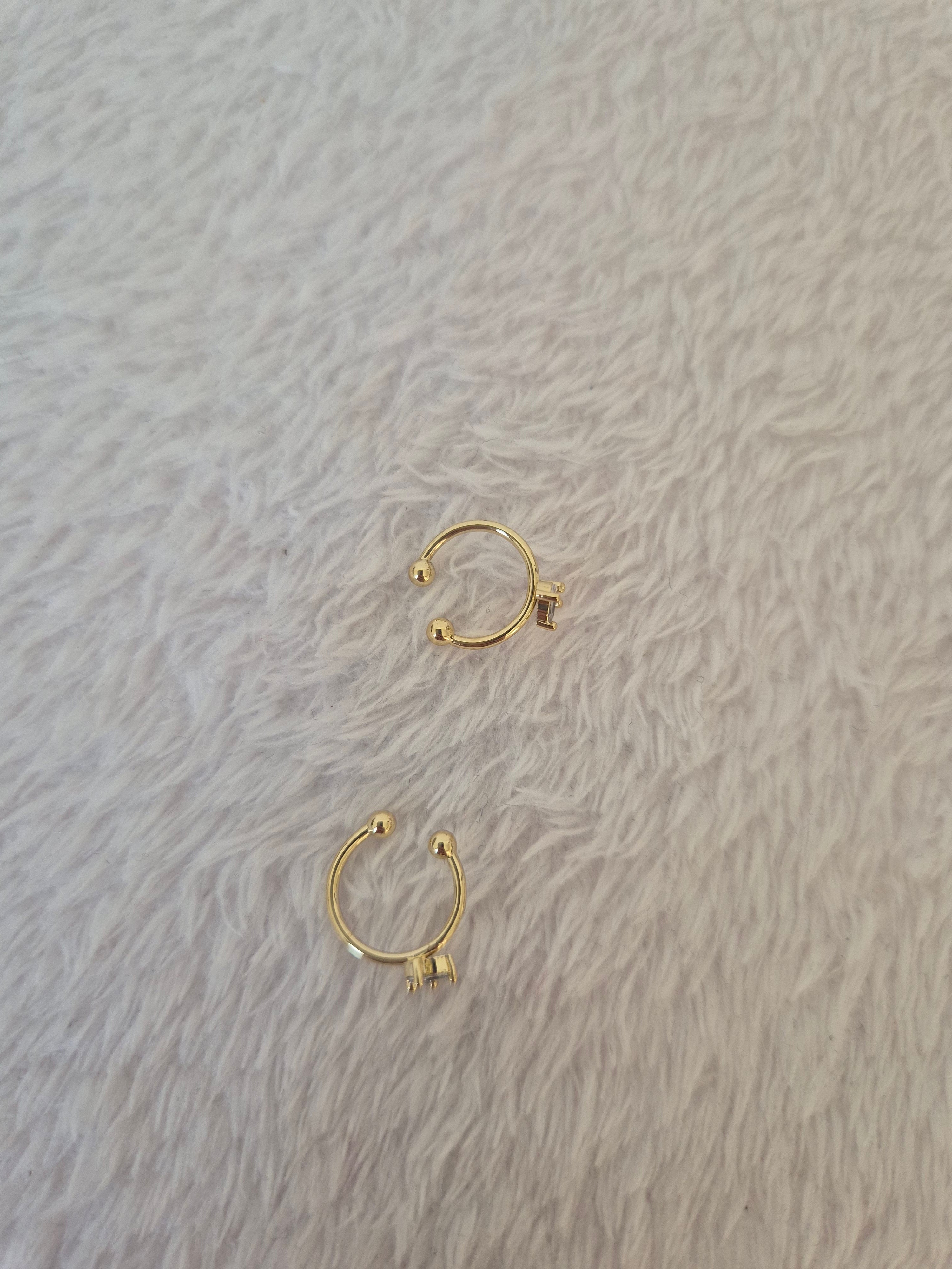 Bagues d'oreilles