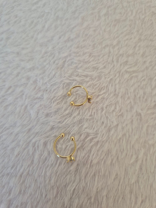 Bagues d'oreilles